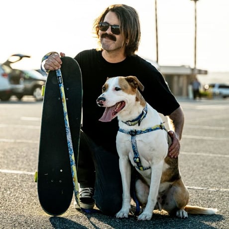【WOLFGANG】Dawn Patrol