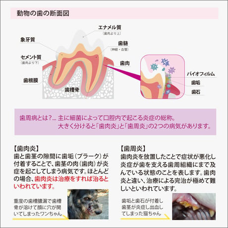 【歯周病 口臭ケア】OxyFresh ペットデンタルウォーター アディティブ