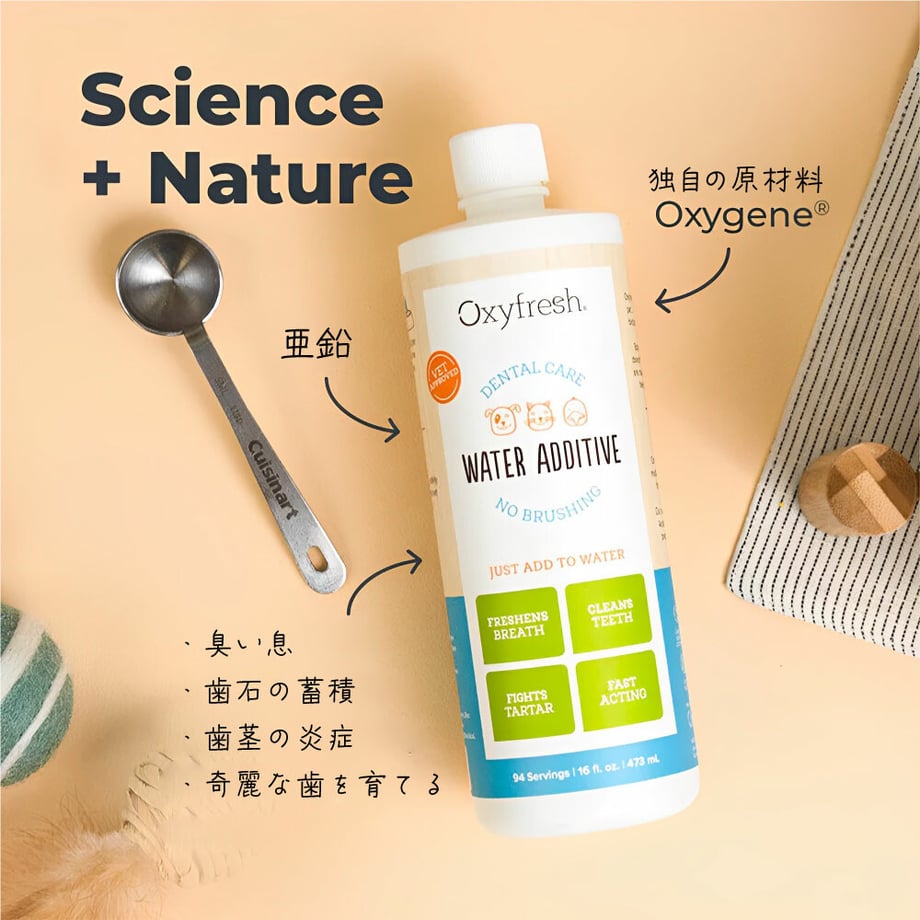 67baca274f626306bb8a7ed4