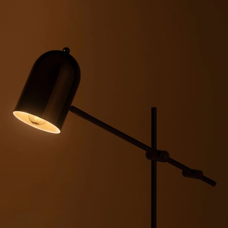 Desk Light 605-9F
