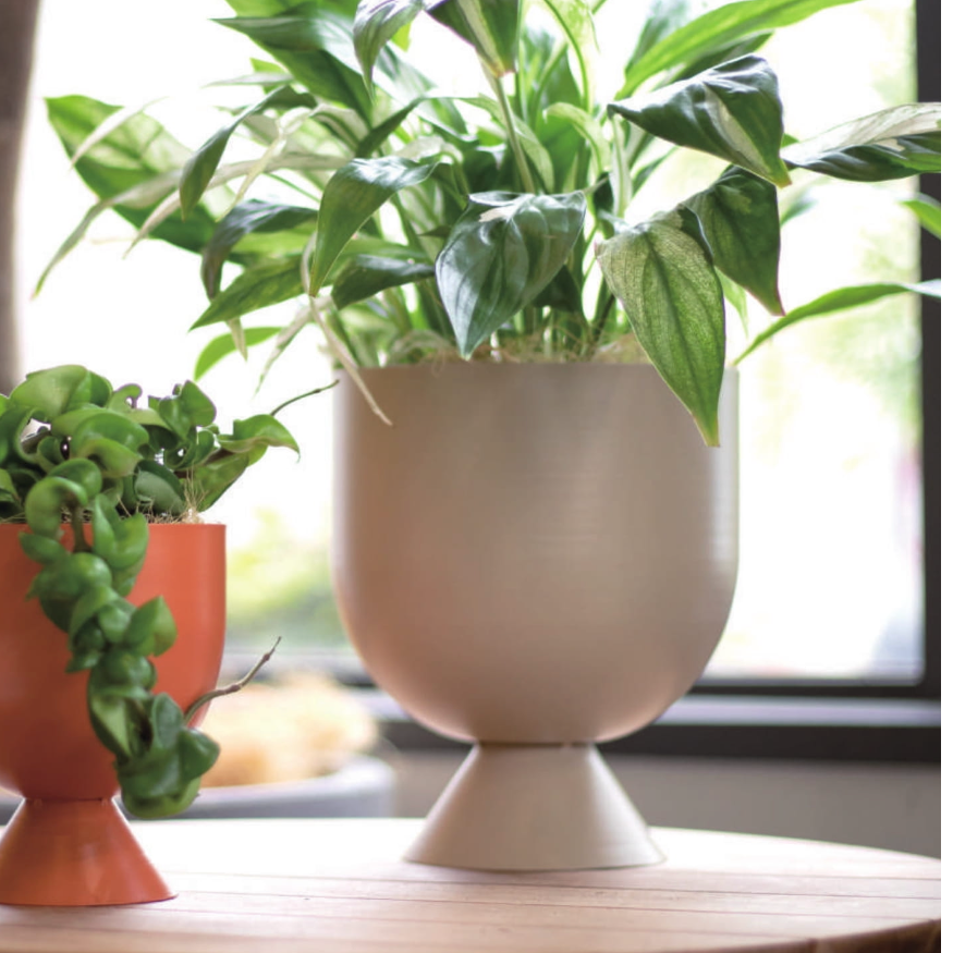 鉢カバー】フェリシア (L) | SQL.