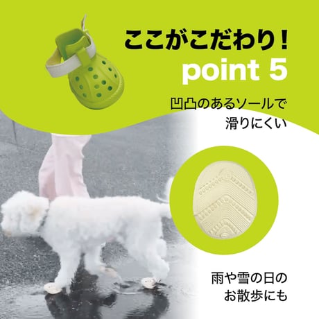WANDAL (犬用アウトドアシューズ）
