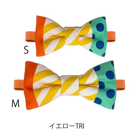 THE RIBON