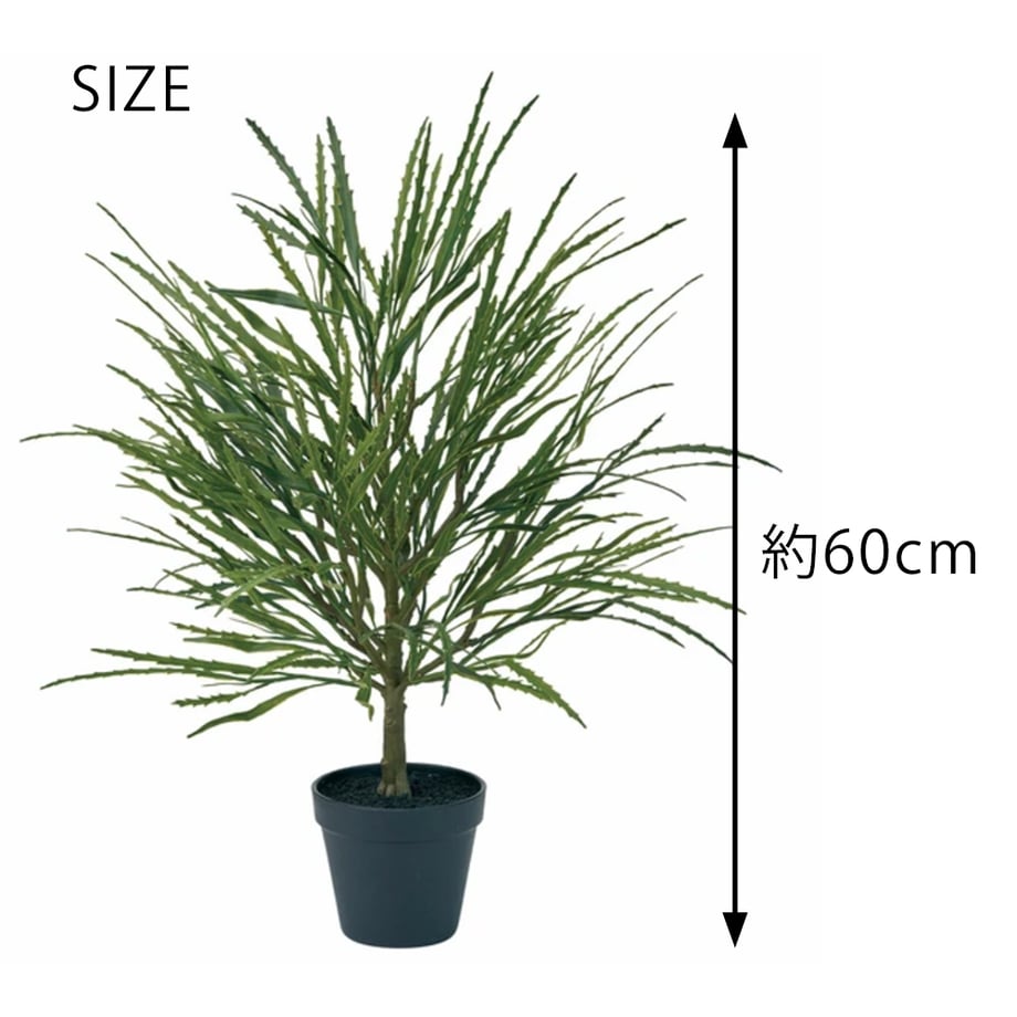 65f3d634c99430042e100d33