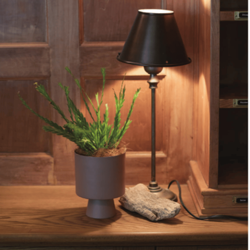 アート 柑橘の鉢植え 木製パネル by Katherine Barnell アート 柑橘の鉢植え 木製パネル by Katherine Barnell 楽天市場