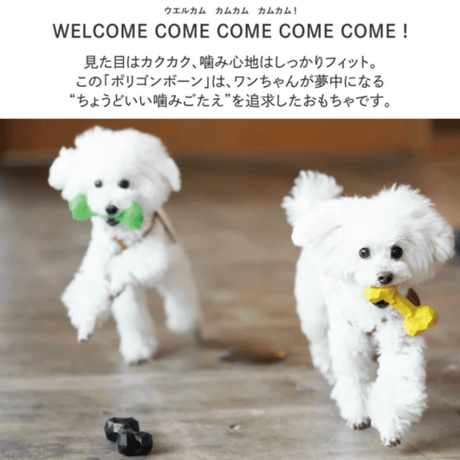 BONE BONE BONE（ドッグトイ）