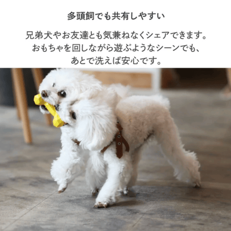 BONE BONE BONE（ドッグトイ）
