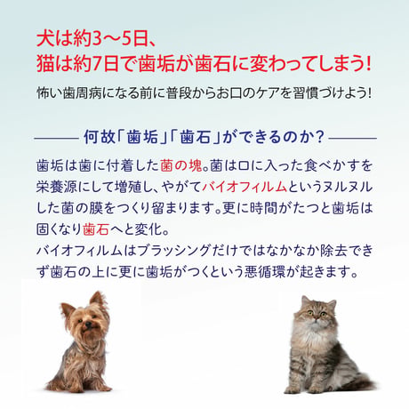 【歯周病 口臭ケア】OxyFresh ペットデンタルウォーター アディティブ