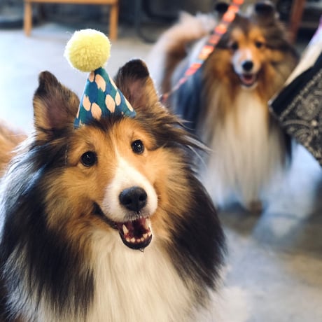POM POM HAT