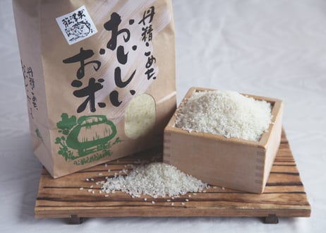 令和7年産  奥津荘契約農家のきぬむすめ 10kg