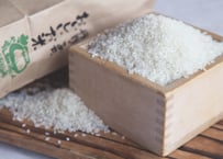 令和7年産  奥津荘契約農家のコシヒカリ 10kg