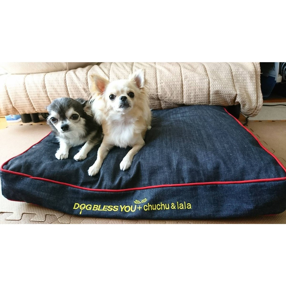 ネーム刺繍 セミオーダー 自家製ケミカルウォッシュ ドライブベッド 持ち手つき ネーム刺繍 セミオーダー 自家製ケミカルウォッシュ ドライブ