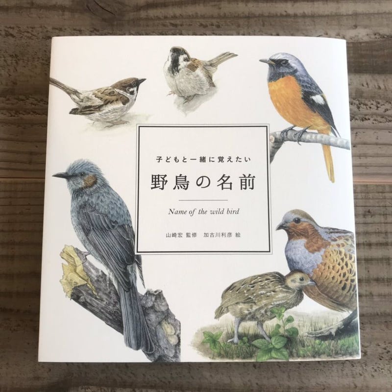 子どもと一緒に覚えたい 野鳥の名前 | Karite