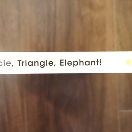 Circle, Triangle, Elephant! : A Book of Shapes & Surprises