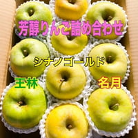 りんご　芳醇りんご詰め合わせ(送料込み)3キロ（９個から１２個入り）