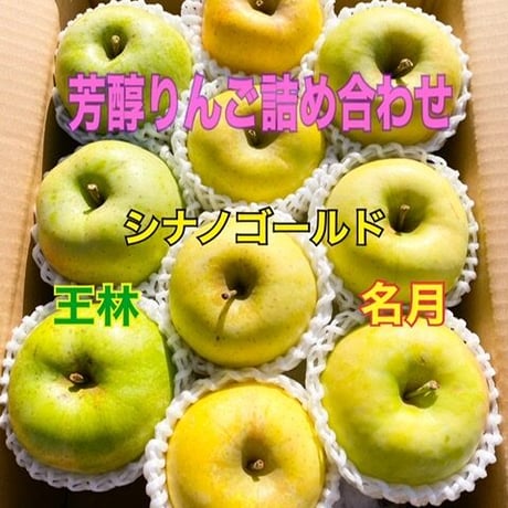 りんご　芳醇りんご詰め合わせ(送料込み)3キロ（９個から１２個入り）