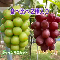 ぶどう クイーンルージュ 家庭用 2キロ | やまみね農園