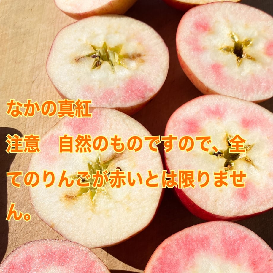 5f82d2560850a01bec11706d