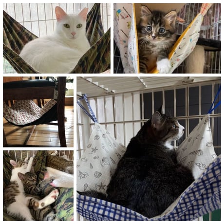 ハンモック☆ワインレッド色地にストライプ猫（裏薄レッド色地に小花）柄
