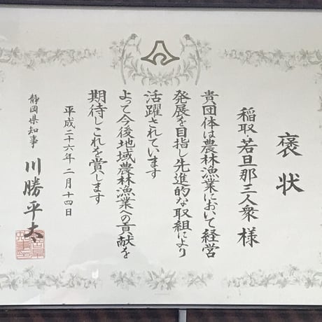 伊豆ニューサマーサイダー（2本セット）