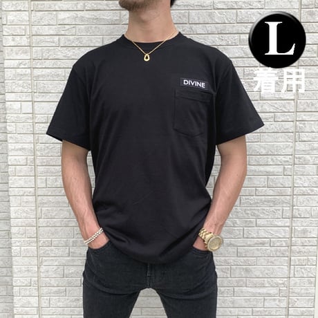 Ｔシャツ   DIVINE 刺繍★BLACK★ LTs003