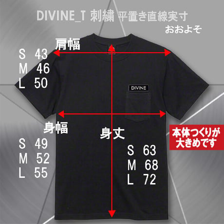 Ｔシャツ   DIVINE 刺繍★BLACK★ LTs003