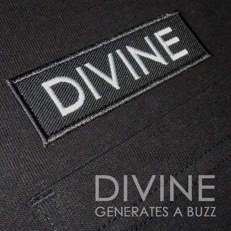 Ｔシャツ   DIVINE 刺繍★BLACK★ LTs003