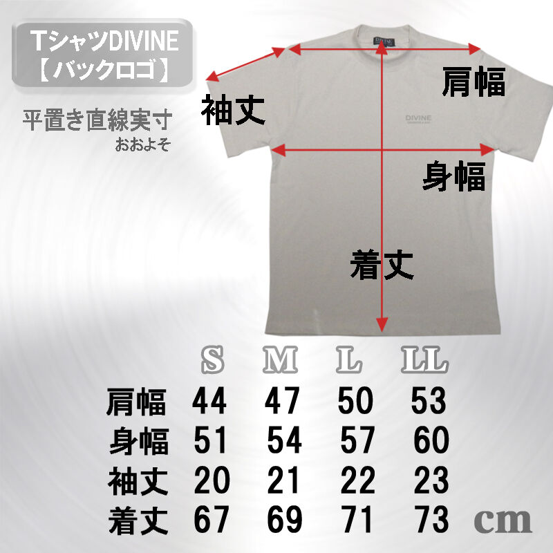 Tセットアップ_DIVINE【IVORY】 | DIVINE オンラインショップ