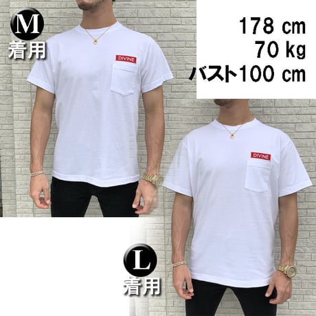Ｔシャツ   DIVINE 刺繍☆White☆ LTs103