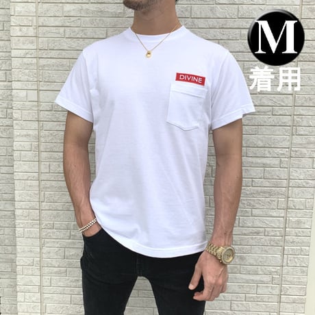 Ｔシャツ   DIVINE 刺繍☆White☆ LTs103