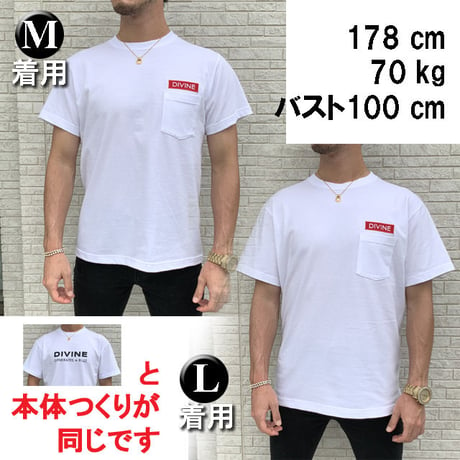Tシャツ  DIVINE  ☆White☆ LT111