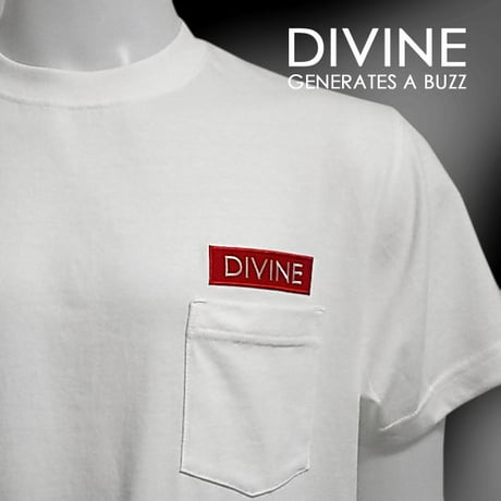 Ｔシャツ   DIVINE 刺繍☆White☆ LTs103