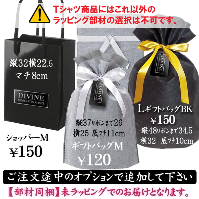 ディーンズ社　ヴィンテージ　白熊ベア　２００２年　ハドソン　会員限定品　バッチ付 ベアT_Star☆D【white】 | DIVINE オンラインショップ
