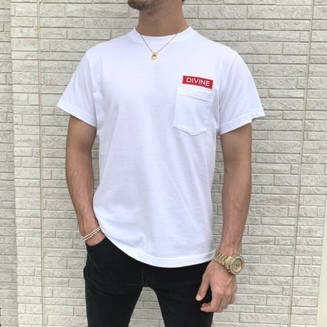 Ｔシャツ   DIVINE 刺繍☆White☆ LTs103