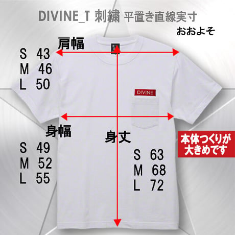 Ｔシャツ   DIVINE 刺繍☆White☆ LTs103