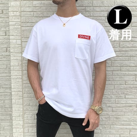 Ｔシャツ   DIVINE 刺繍☆White☆ LTs103