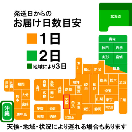 【送料と発送日】【ご注意事項】