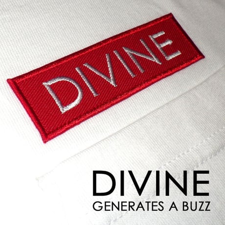 Ｔシャツ   DIVINE 刺繍☆White☆ LTs103
