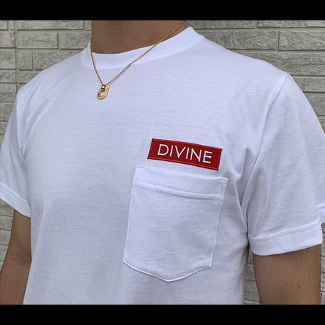 Ｔシャツ   DIVINE 刺繍☆White☆ LTs103