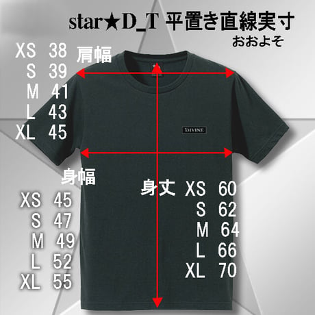 Ｔシャツ   Star★D 刺繍★BLACK★ LTs002