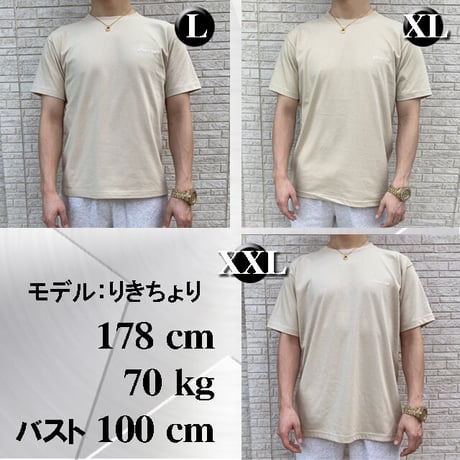 Ｔシャツ   Divine  刺繍☆ライトベージュ