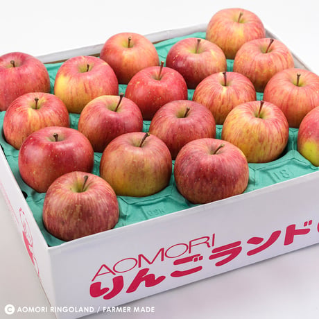 青森県産 サンふじ　5ｋｇ家庭(18～23個)