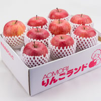 青森県産 サンふじ　3ｋｇ家庭(9～13個)
