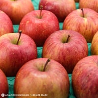 青森県産 サンふじ　10ｋｇ家庭(36～46個)