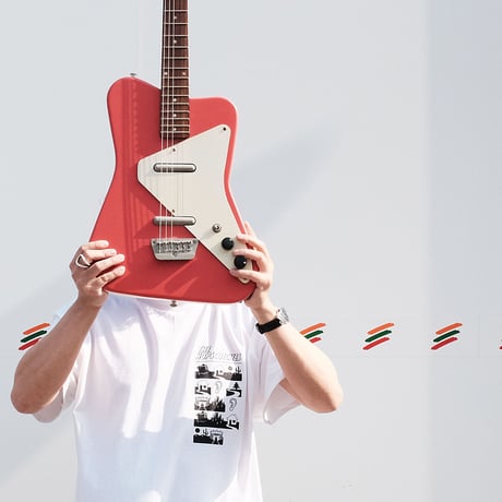 THE HOP SCOTCHES / T-shirt