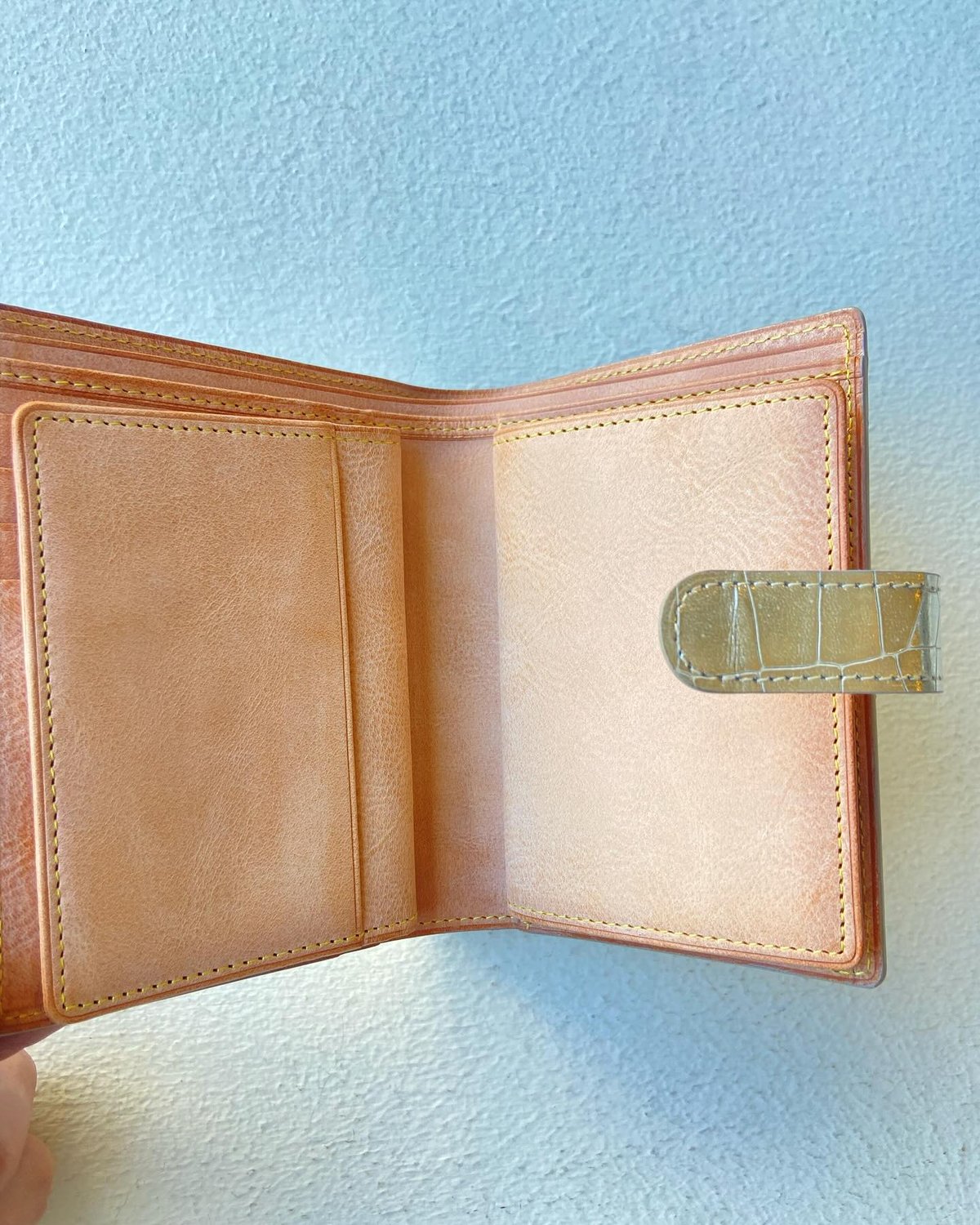 金運爆上がり！アイソラ 財布 isola クロコ 二つ折財布 金運爆上がり！アイソラ 財布 isola クロコ 二つ折財布 unisex