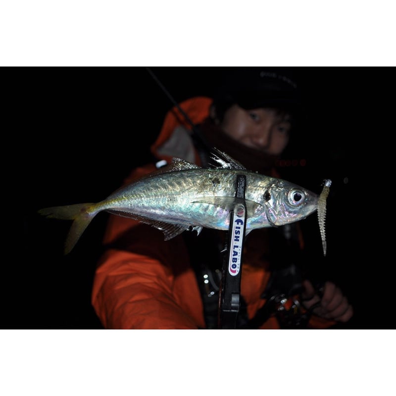 no.0395 balloon lamb とレーザーポリッシュ Riverch 2.6inch | FISH LABO's STORE