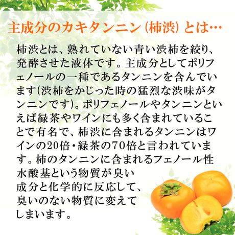 サンベック 洗濯衣類用 抗菌・消臭剤 1000g 液体 無香料