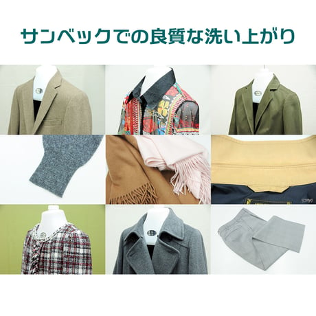 サンベックドライ洗剤 おしゃれ着 洗剤 500g 【スタンダード】ドライマーク 洗濯洗剤 液体 無香料