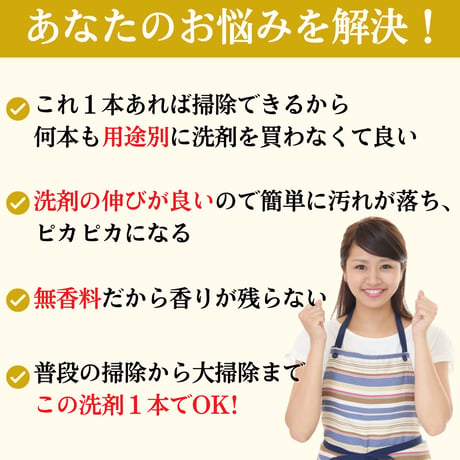 サンベック 掃除用洗剤 500ml 液体